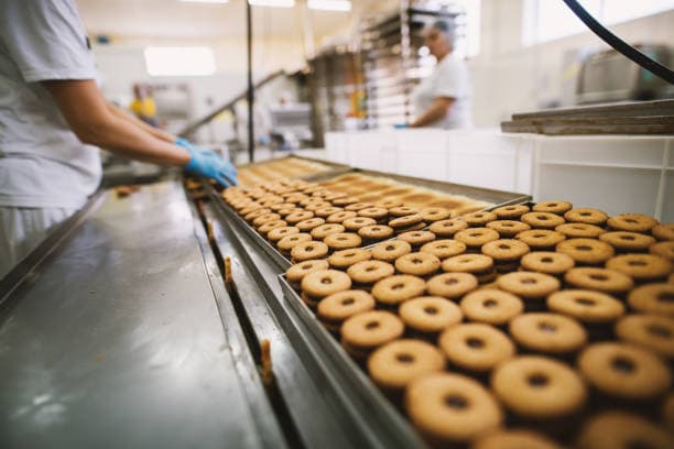 Commercial Biscuit Ovens